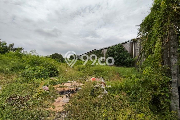 Kavling Tanah Dijual di Denpasar Utara Denpasar Spesifikasi 2440m2 Kavling Tanah Dijual di Denpasar Utara Denpasar Spesifikasi 2440m2