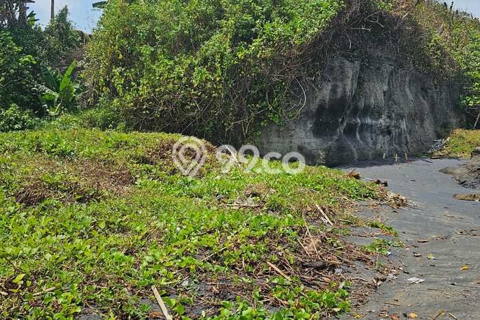 Tanah Dijual di Tabanan Seluas 6915m2 Strategis Tanah Dijual di Tabanan Seluas 6915m2 Strategis
