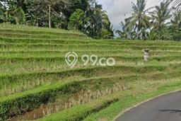 Tanah Dijual Area Strategis di Megati Tabanan 8750m2 Tanah Dijual Area Strategis di Megati Tabanan 8750m2