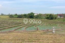Lahan Dijual Lokasi Strategis di Tabanan dengan Luas 2300m2 Lahan Dijual Lokasi Strategis di Tabanan dengan Luas 2300m2