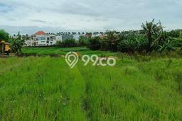 Dijual Tanah Lokasi Tumbak Bayuh, Badung Seluas 1315m2 Dijual Tanah Lokasi Tumbak Bayuh, Badung Seluas 1315m2