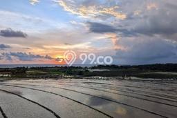 Tanah Dijual di Tabanan Seluas 1500m2 Strategis Tanah Dijual di Tabanan Seluas 1500m2 Strategis