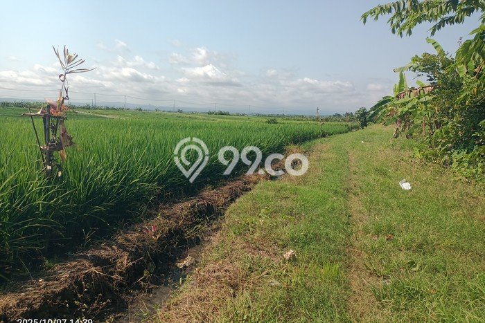 Dijual Tanah 400m2 di Tibubiyu, Tabanan Dijual Tanah 400m2 di Tibubiyu, Tabanan