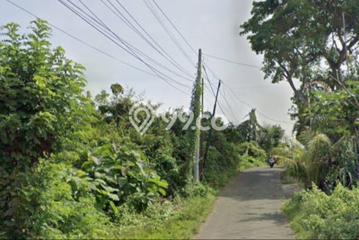 Kavling Tanah untuk Disewa di Ungasan Lahan Luas 3700m2 Kavling Tanah untuk Disewa di Ungasan Lahan Luas 3700m2