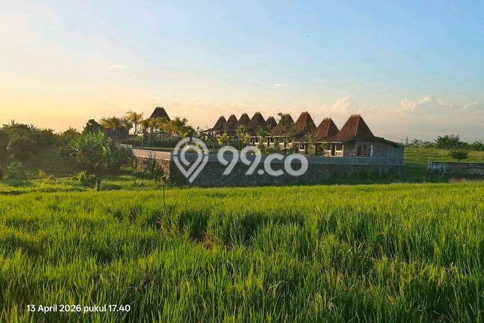 Tanah Investasi Dijual di Tabanan Punya Luas 6220m2 Tanah Investasi Dijual di Tabanan Punya Luas 6220m2