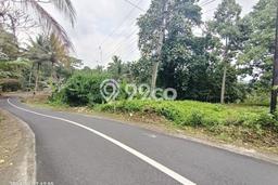 Tanah Investasi Dijual di Tabanan Punya Luas 4550m2 Tanah Investasi Dijual di Tabanan Punya Luas 4550m2