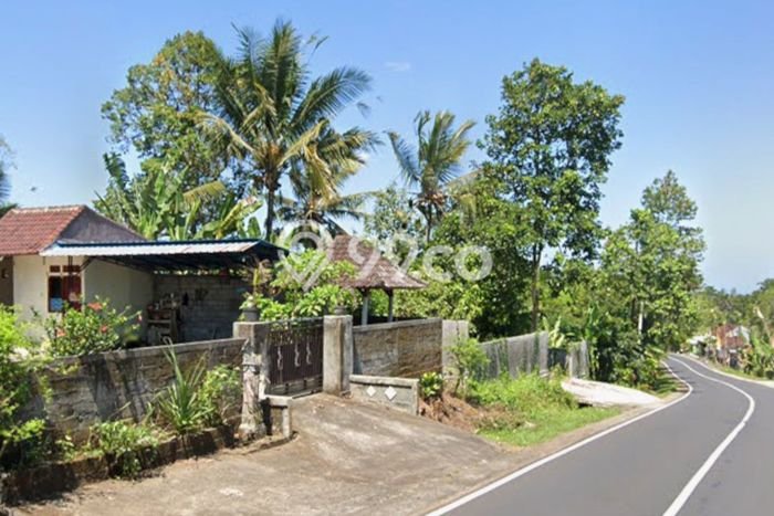 Tanah Dijual Lokasi Strategis di Tabanan dengan Luas 2000m2 Tanah Dijual Lokasi Strategis di Tabanan dengan Luas 2000m2