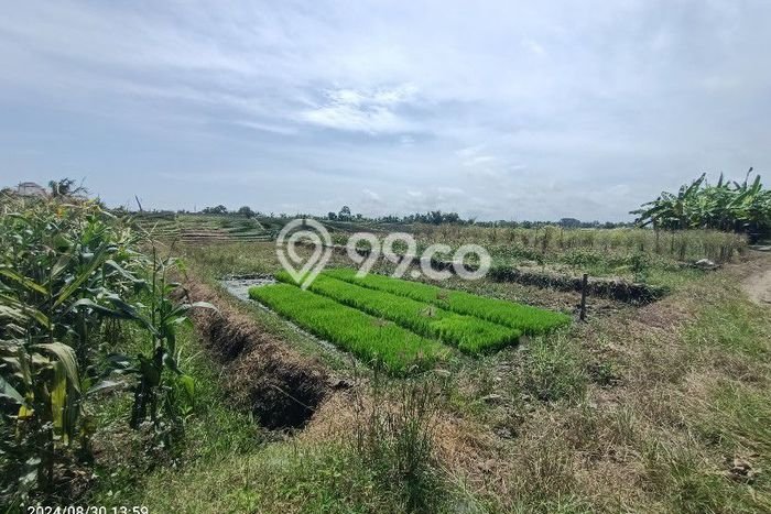 Lahan Dijual Lokasi Strategis di Tabanan dengan Luas 2300m2 Lahan Dijual Lokasi Strategis di Tabanan dengan Luas 2300m2