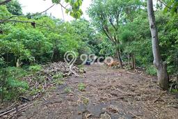 Kavling Tanah untuk Disewa di Pecatu Lahan Luas 5200m2 Kavling Tanah untuk Disewa di Pecatu Lahan Luas 5200m2
