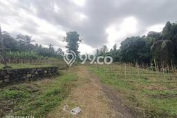 Lahan Kosong Dijual di Pekutatan, Jembrana, Luas 10500m2 Area Strategis Lahan Kosong Dijual di Pekutatan, Jembrana, Luas 10500m2 Area Strategis