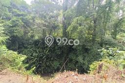 Tanah Dijual Area Strategis di Kenderan Gianyar 1372m2 Tanah Dijual Area Strategis di Kenderan Gianyar 1372m2