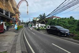 Disewakan Tanah di Canggu Badung Seluas 2150m2 Disewakan Tanah di Canggu Badung Seluas 2150m2