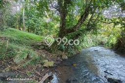 Kavling Tanah Dijual di Selemadeg Tabanan Spesifikasi 1800m2 Kavling Tanah Dijual di Selemadeg Tabanan Spesifikasi 1800m2