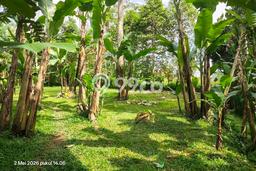 Kavling Tanah untuk Dijual di Pupuan, Gianyar, Luas 1389m2 Kavling Tanah untuk Dijual di Pupuan, Gianyar, Luas 1389m2