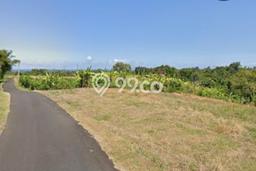 Tanah Kavling Dijual di Tabanan dengan Spesifikasi 1200m2 Tanah Kavling Dijual di Tabanan dengan Spesifikasi 1200m2