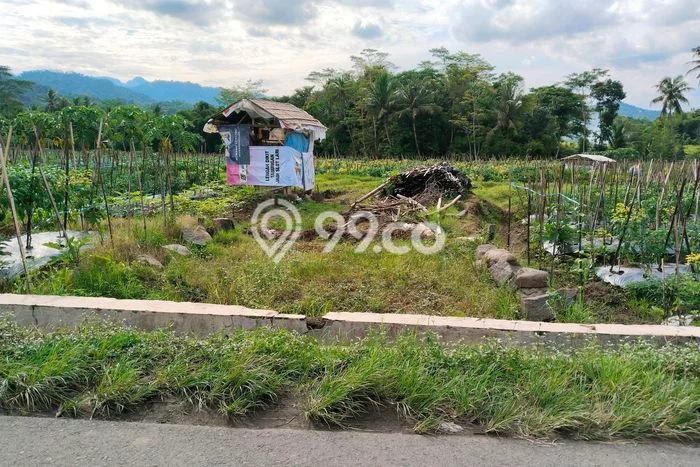 Dijual Tanah Area Berkembang di Borobudur, Luas 734m2m², Dekat Borobudur, Magelang, Magelang Dijual Tanah Area Berkembang di Borobudur, Luas 734m2m², Dekat Borobudur, Magelang, Magelang