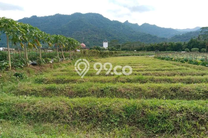 Dijual Tanah Area Berkembang di Borobudur, Luas 734m2m², Dekat Borobudur, Magelang, Magelang Dijual Tanah Area Berkembang di Borobudur, Luas 734m2m², Dekat Borobudur, Magelang, Magelang