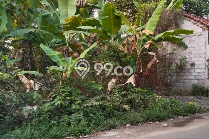 Tanah Lokasi Strategis di Borobudur, Luas 200m2m², Akses ke Pusat Kota, Lingkungan Asri Tanah Lokasi Strategis di Borobudur, Luas 200m2m², Akses ke Pusat Kota, Lingkungan Asri