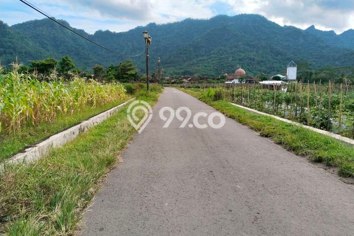 Dijual Tanah Area Berkembang di Borobudur, Luas 734m2m², Dekat Borobudur, Magelang, Magelang Dijual Tanah Area Berkembang di Borobudur, Luas 734m2m², Dekat Borobudur, Magelang, Magelang