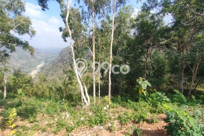 Kavling Tanah Dijual di Dlingo Bantul Spesifikasi 7m2 Kavling Tanah Dijual di Dlingo Bantul Spesifikasi 7m2