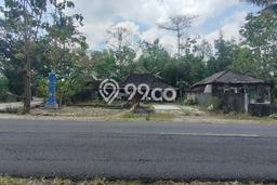 Kavling Tanah Dijual di Playen Gunung Kidul Spesifikasi 800m2 Kavling Tanah Dijual di Playen Gunung Kidul Spesifikasi 800m2