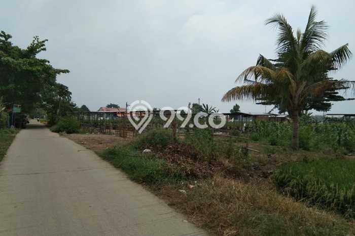 Tanah Dijual Lokasi Karawang Barat Karawang SHM Tanah Dijual Lokasi Karawang Barat Karawang SHM