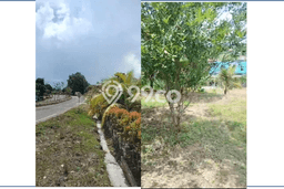Kavling Tanah Dijual di Balikpapan Selatan Balikpapan Spesifikasi 1000m2 Kavling Tanah Dijual di Balikpapan Selatan Balikpapan Spesifikasi 1000m2