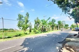 Tanah Dijual Lokasi Tanjunganom, Nganjuk Luas 7450m2 Legalitas Aman Tanah Dijual Lokasi Tanjunganom, Nganjuk Luas 7450m2 Legalitas Aman