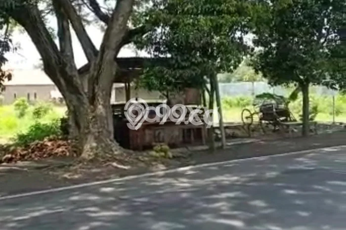 Dijual Tanah di Purworejo Pasuruan Luas 2100m2 SHM Dijual Tanah di Purworejo Pasuruan Luas 2100m2 SHM