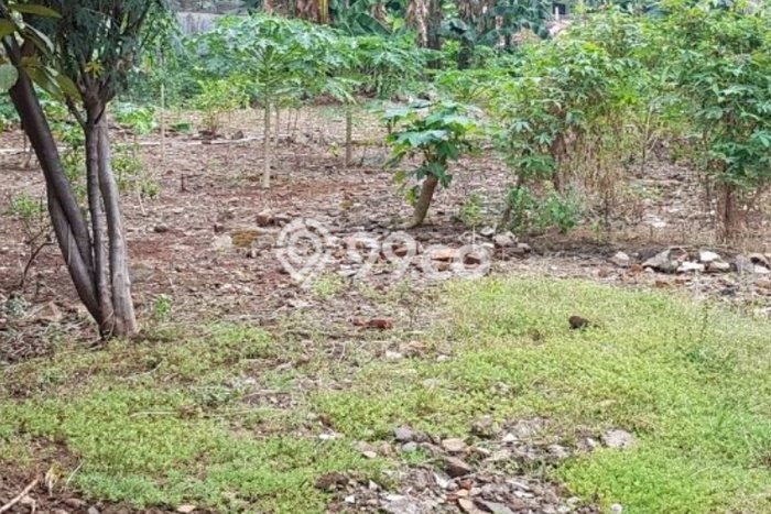 Lahan Dijual Lokasi Kebayoran Baru, Jakarta Selatan dengan Luas Tanah 620m2 dan Status SHM Lahan Dijual Lokasi Kebayoran Baru, Jakarta Selatan dengan Luas Tanah 620m2 dan Status SHM