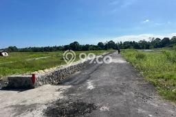 Dijual Tanah Lokasi Kedungu, Tabanan Seluas 200m2 Dijual Tanah Lokasi Kedungu, Tabanan Seluas 200m2