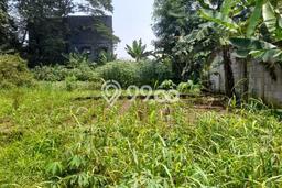 Kavling Tanah di Bogor Utara Dijual Luas 1600m2 Legalitas SHM Kavling Tanah di Bogor Utara Dijual Luas 1600m2 Legalitas SHM