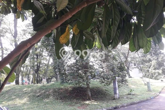 Dijual Tanah di BSD Tangerang Selatan Luas 1069m2 PPJB Dijual Tanah di BSD Tangerang Selatan Luas 1069m2 PPJB