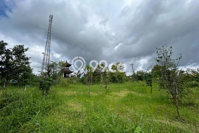 Lahan Kosong Dijual di Kintamani, Bangli, Luas 6000m2 Area Strategis Lahan Kosong Dijual di Kintamani, Bangli, Luas 6000m2 Area Strategis