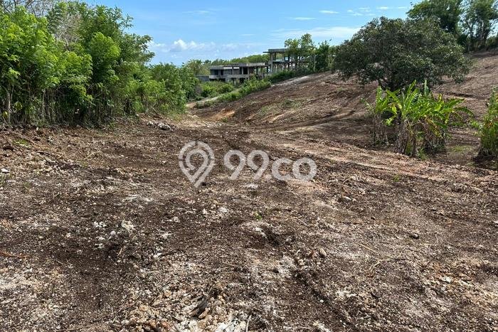 Tanah Dijual di Badung Seluas 2000m2 Strategis Tanah Dijual di Badung Seluas 2000m2 Strategis