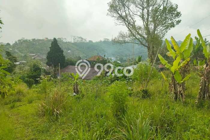 Tanah Komersial Dijual di Buleleng Buleleng 8750m2 Tanah Komersial Dijual di Buleleng Buleleng 8750m2