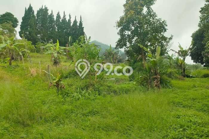 Tanah Komersial Dijual di Buleleng Buleleng 8750m2 Tanah Komersial Dijual di Buleleng Buleleng 8750m2