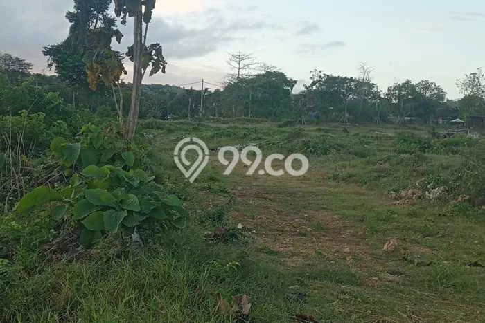 Tanah Kavling Disewakan di Pecatu dengan Luas 11600m2 Tanah Kavling Disewakan di Pecatu dengan Luas 11600m2