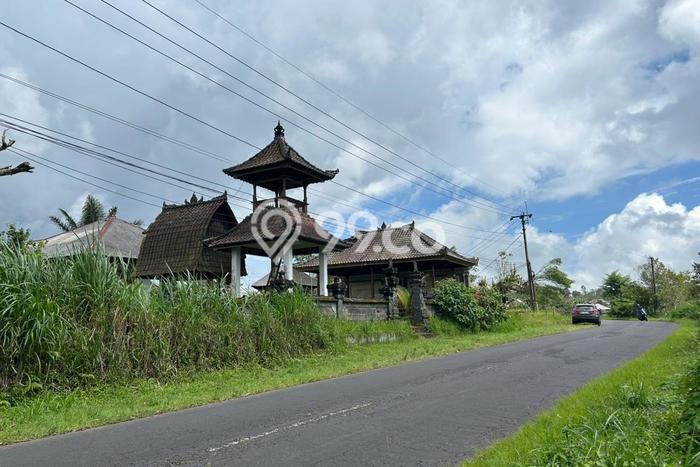 Lahan Kosong Dijual di Kintamani, Bangli, Luas 6000m2 Area Strategis Lahan Kosong Dijual di Kintamani, Bangli, Luas 6000m2 Area Strategis