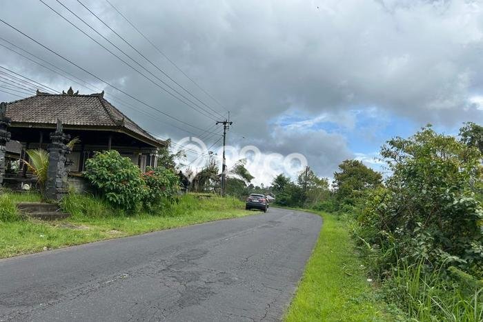 Lahan Kosong Dijual di Kintamani, Bangli, Luas 6000m2 Area Strategis Lahan Kosong Dijual di Kintamani, Bangli, Luas 6000m2 Area Strategis
