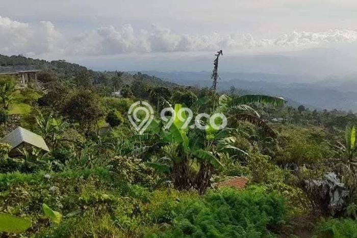 Tanah Komersial Dijual di Buleleng Buleleng 8750m2 Tanah Komersial Dijual di Buleleng Buleleng 8750m2
