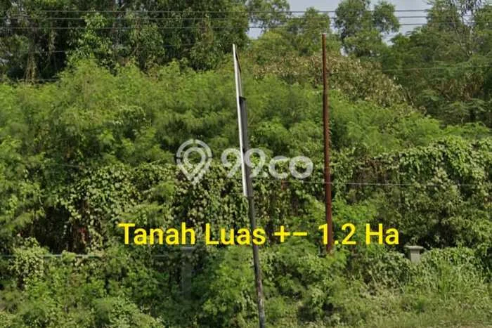 Tanah untuk Dijual Lokasi Klari, Karawang Luas 12000m2 SHM Tanah untuk Dijual Lokasi Klari, Karawang Luas 12000m2 SHM