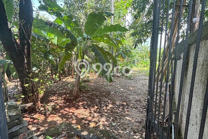 Tanah Dijual di Jakarta Utara Seluas 2200m2 Strategis Tanah Dijual di Jakarta Utara Seluas 2200m2 Strategis