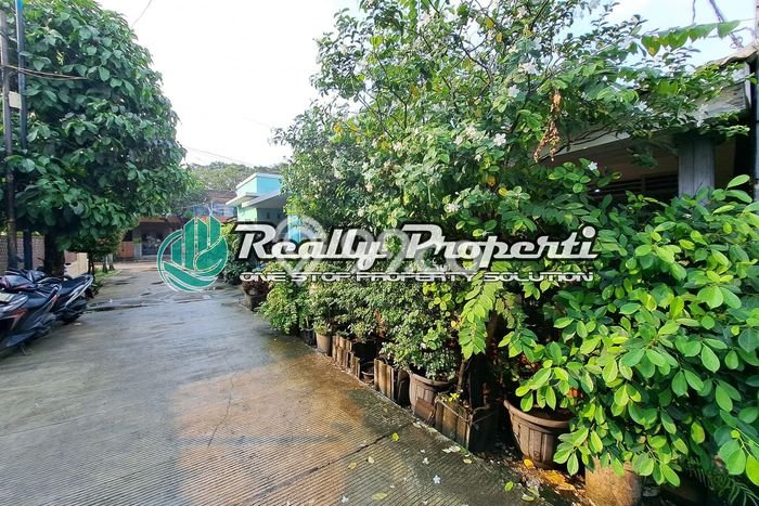Rumah Murah di Bekasi Dekat Sekolah Rumah Murah di Bekasi Dekat Sekolah