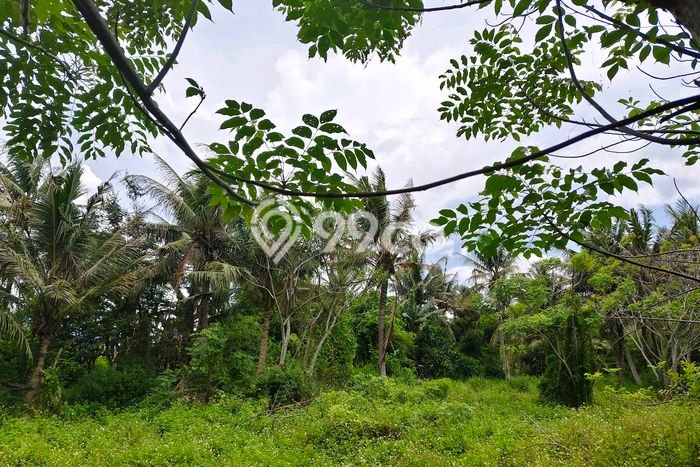 Lahan untuk Dijual Lokasi Tangerang, Tangerang Luas 19749m2 SHM Lahan untuk Dijual Lokasi Tangerang, Tangerang Luas 19749m2 SHM