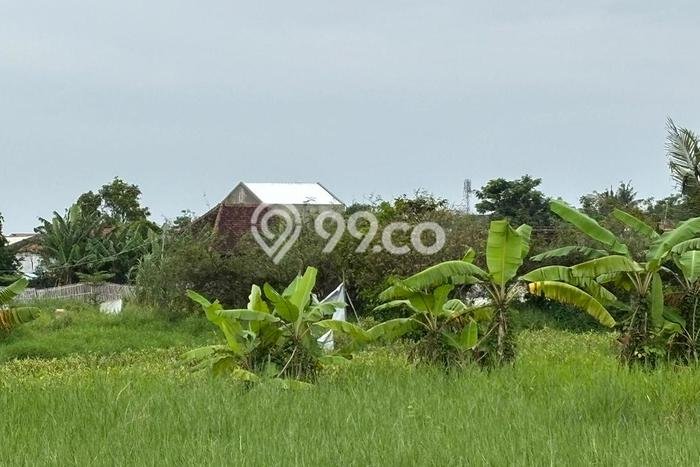 Tanah Kavling Dijual di Teluk Naga, Tangerang dengan Luas Tanah 3243m2 Tanah Kavling Dijual di Teluk Naga, Tangerang dengan Luas Tanah 3243m2