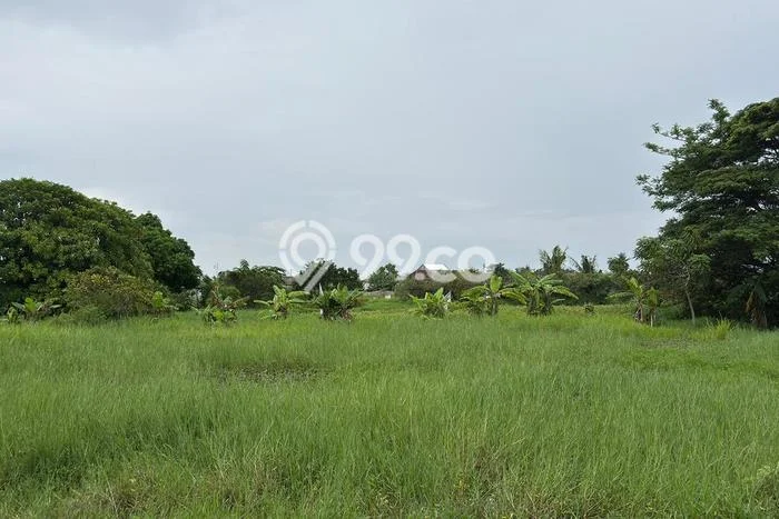 Tanah Kavling Dijual di Teluk Naga, Tangerang dengan Luas Tanah 3243m2 Tanah Kavling Dijual di Teluk Naga, Tangerang dengan Luas Tanah 3243m2