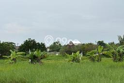 Tanah Kavling Dijual di Teluk Naga, Tangerang dengan Luas Tanah 3243m2 Tanah Kavling Dijual di Teluk Naga, Tangerang dengan Luas Tanah 3243m2