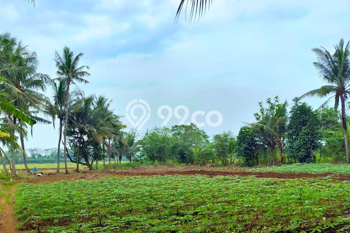 Tanah Bisnis Kawasan Sindang Jaya, Luas 108m², Lokasi Strategis Tanah Bisnis Kawasan Sindang Jaya, Luas 108m², Lokasi Strategis