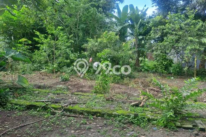 Untuk Dijual Tanah di Ngaglik Sleman Luas 331m2 SHM Untuk Dijual Tanah di Ngaglik Sleman Luas 331m2 SHM